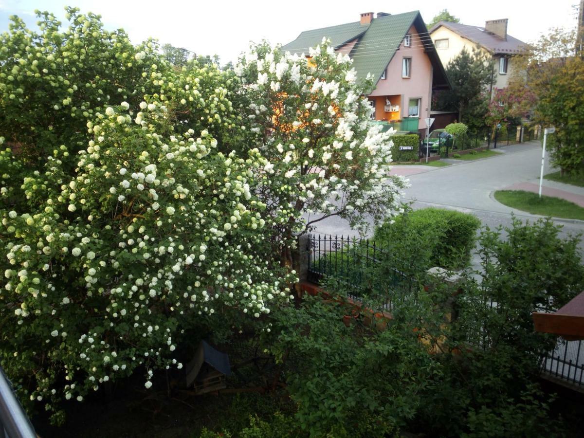 Mieszkanie Na Zielonej Tanie I Wygodne Noclegi Czluchow Exterior photo